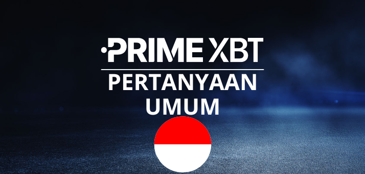 Mengungkap Potensi Trading dengan PrimeXBT Website